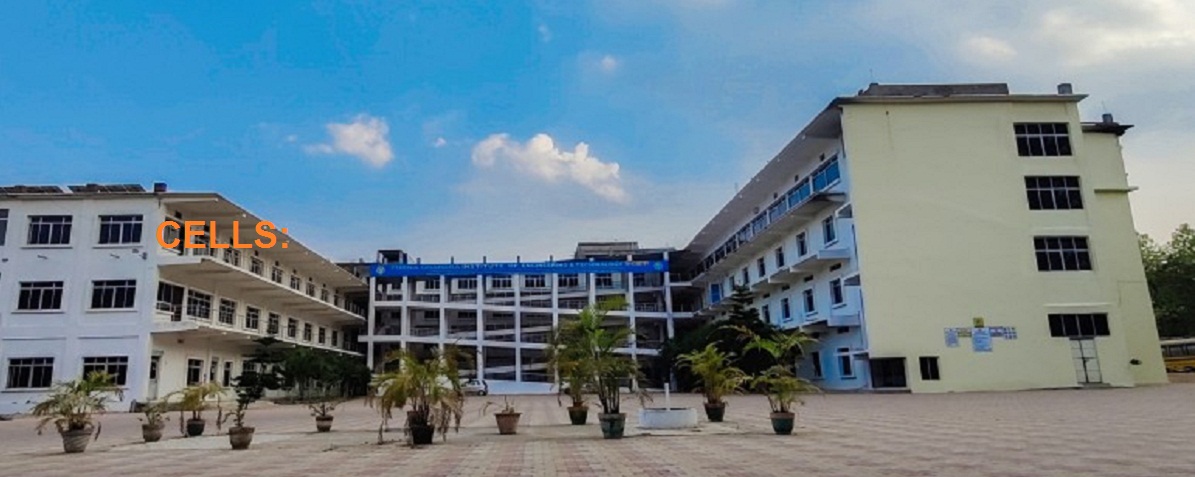 Syllabus